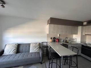 Departamento amoblado central - Temuco - 8