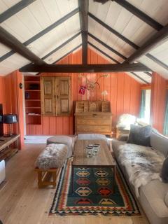 Geilo, two cabins, silence, nature, skiing and summer sports - Geilo - 8