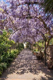 Villa Marino in Aurora - Capri - 9