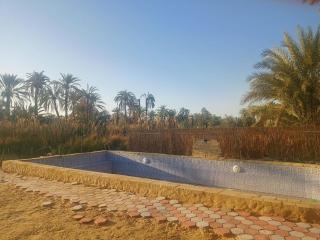 noor house - Siwa - 5