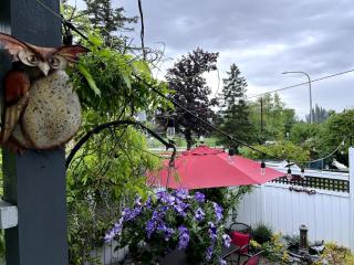 Family Cottage at Horner Park - Victoria - 3