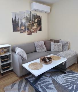 apartment Serenity, Bansko - Bansko - 5