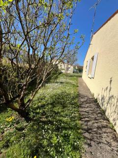 Maison 3 chambres - Royan - Royan - 2