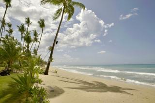 Villas Maranata Complex 5 Villas 3Brd FrontBeach - Las Terrenas - 6