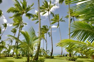 Villas Maranata Complex 5 Villas 3Brd FrontBeach - Las Terrenas - 7