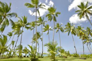 Villas Maranata Complex 5 Villas 3Brd FrontBeach - Las Terrenas - 8