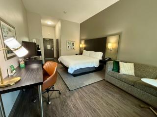 Holiday Inn Carlsbad/San Diego by IHG - Carlsbad - 1