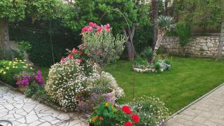 Apartments with parking space Lopar, Rab - 24156 - 5