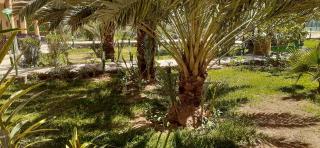 Sun Palmeraie - Book your Room - Erfoud - 1