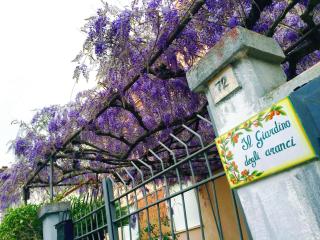 Orange Garden - Minturno - 0