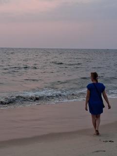 Shoreline Marari Beach Villa At Golden Beach Mararikulam - 3