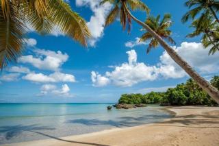 Playa Bonita 4BD Penthouse & Spa - Las Terrenas - 0