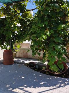 Armazéns do Beco - Cacau, Pimenta e Sal - Santa Cruz da Graciosa - 4