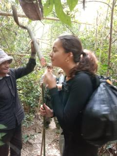 Tribal Village Homestay & Trekking - Banlung - 1