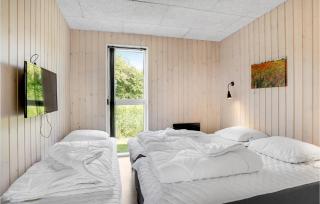 Holiday Home Haderslev With Fireplace 09 - Store Anslet - 5