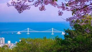 Kent Hotel Gwangalli by Kensington - Busan - 9