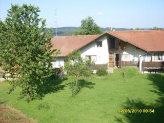 Gasthof Pension Gregori - 9