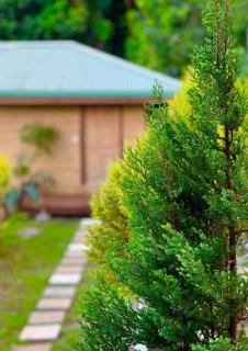 Les Chalets de Afaahiti - Fare Keanu - - 9