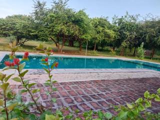 Kemin Escapes - Yala - Tissamaharama - 0