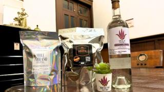 Aroma Hotel - Puebla - 4