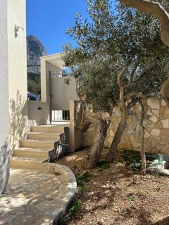 Villa Olivia - Baška Voda - 8