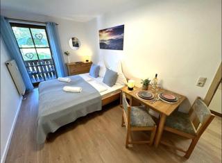 Apartment in Zwiesel Bayerischer Wald, Sauna, Pool, Wi-Fi - Zwiesel - 0
