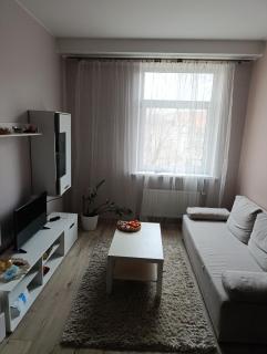 Lina's Appartment - Vilnius - 0