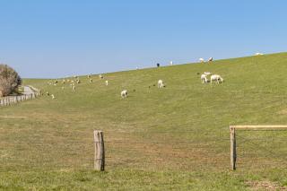 Haus Am Meer Familie Frener - Pellworm - 7