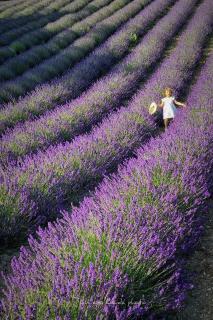 La Casa della Lavanda - 8