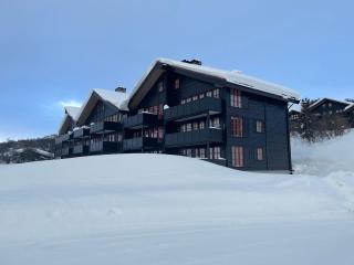 Handicap-friendly apartment with 3 bedrooms - Beitostøl - 9