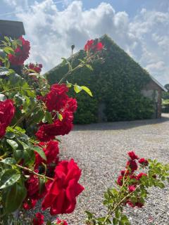 Wijndomein Joris - 1