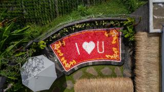 The Macaw Ubud Green Uma Villa - Blahbatu - 5