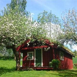 Vårsetra - Bø - 0