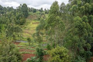 Marie Homes - Othaya - 2