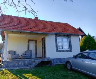 Dr Genius Holiday Home - Negotin - 0
