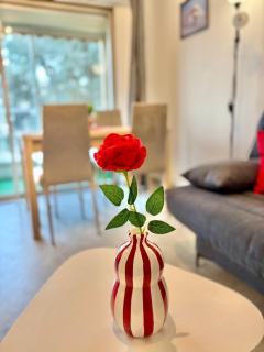 Studio la rose rouge avec balcon - Mandelieu La Napoule - 5
