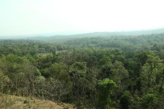 Hilltop Paradise - Jambur - 2