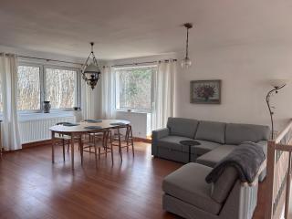 Pod Kogutami Chałupy - 0