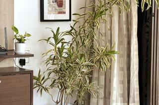 Marita 701 Bandra beauty 2 bed 2 Bath Sea view Parking - Mumbai - 3