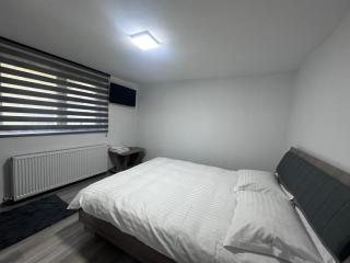Casa Lupilor Adults Only - Căpăţîneni-Ungureni - 3