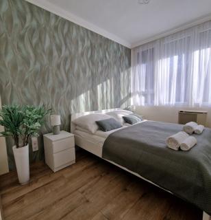 Central Greatforest Apartman 2 - Debrecen - 2