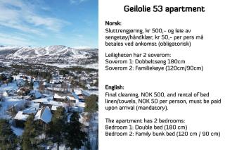 Geilolie - apartment in Geilo - Hol - 4