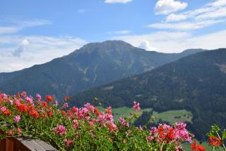 Ortlerhof im Ultental - Urlaub auf dem Bauernhof - Ultimo - 3