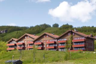 Central and handicap friendly 3 bedroom apartment - Beitostøl - 0