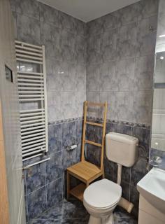 2 room apartment in Craiova city center - Craiova - 3