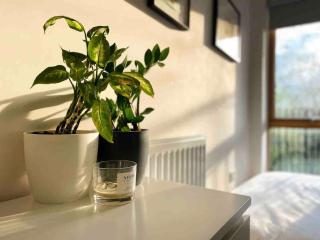 Beautiful bright 3-bed home next to station - Londra - 4