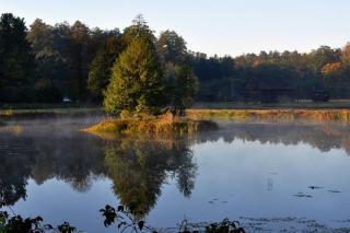 Wiejski Reset - - 3