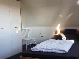 Amazing holiday home with sauna - Breskens - 2