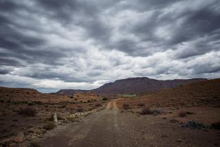 Tamboershoek Karoo Farm Stay near Beaufort West - Fraserburg - 7