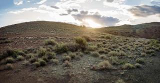 Tamboershoek Karoo Farm Stay near Beaufort West - Fraserburg - 4
